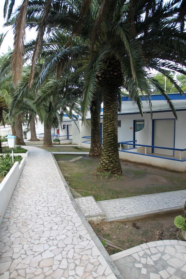 Hotel Gabbiano San Domino Bagian luar foto